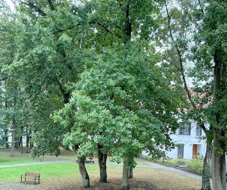 Ausblick - 