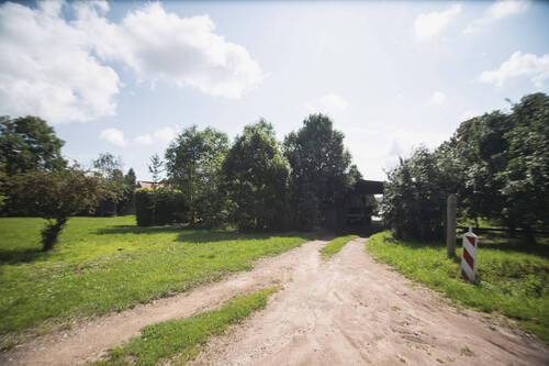 Blick zur Halle - 