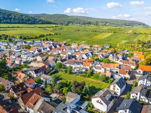 Ausblick über die Weinberge - Bock auf Deidesheim: Leben, Bauen, Investieren!