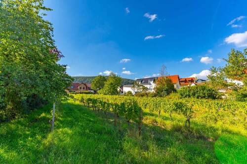 Ostansicht - Grundstück in Deidesheim