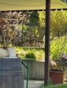 Terrasse/Garten - 9 Zimmer Mehrfamilienhaus, Wohnhaus zum Kaufen in Vogt