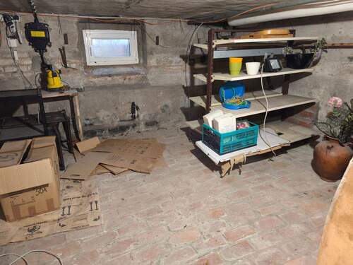 IMG_20251104_124133.jpg - 