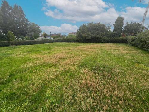 Garten - Doppelhaushälfte zum Kaufen in Halstenbek