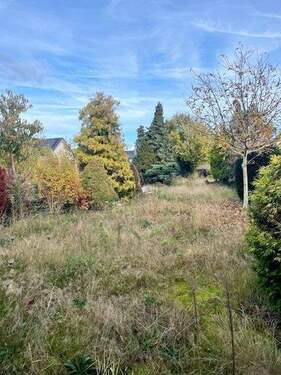 Grundstück.jpg - 3 Zimmer Doppelhaushälfte zum Kaufen in Dormagen