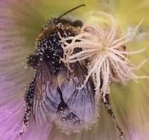 Willkommen im neuen Zuhause ! - 3 Zimmer Etagenwohnung zur Miete in Düsseldorf