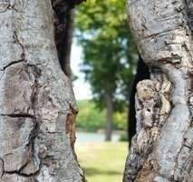 Direkt am Grafenberger Wald - Etagenwohnung mit 92,00 m&sup2; in Düsseldorf zur Miete