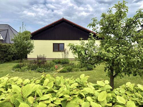 Hinteransicht - 