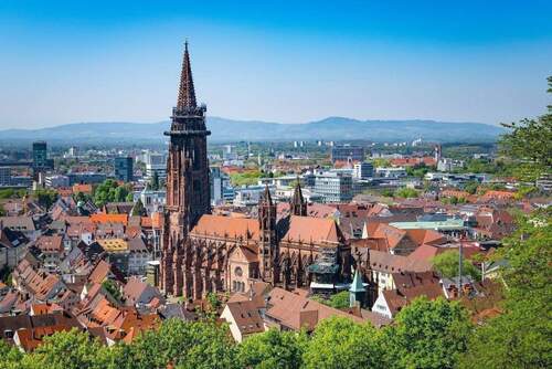 Freiburger Münster - 