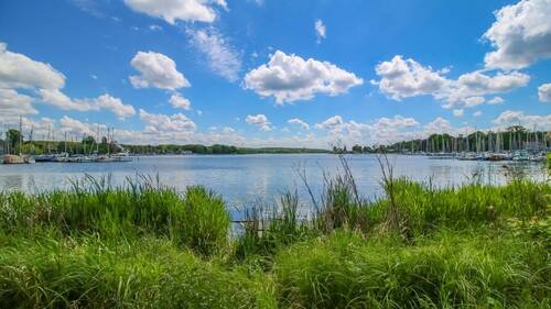 Scharfe Lanke - Zwischen Pichelssee und Scharfe Lanke - jeden Tag Urlaubsgefühle