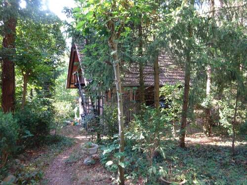 Weg zum Haupthaus - 3 Zimmer Einfamilienhaus in Wienhausen / Nordburg