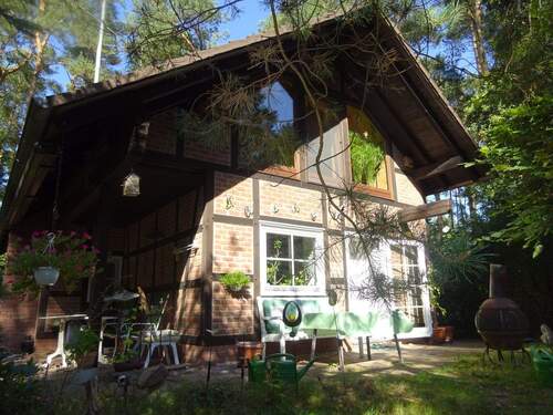 Südansicht - Einfamilienhaus mit 75,00 m² in Wienhausen / Nordburg zum Kaufen