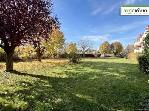 Grünfläche/ Garten - 