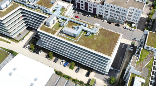 Hinten Oben - 