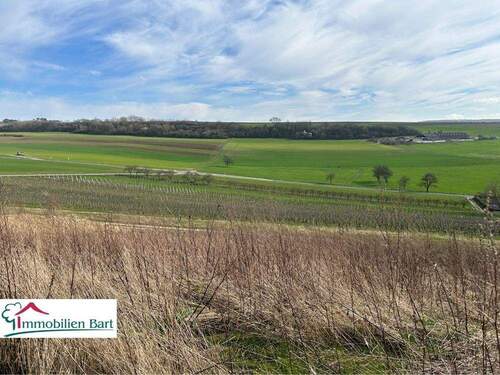 Grundstück - DIREKTE GRENZE LUXEMBURG: 13 AR AUF MONT