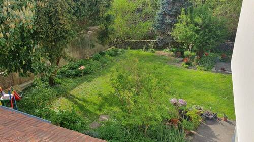 Büroblick auf den Garten - 