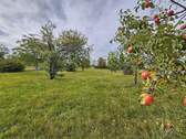 rote Äpfel inbegriffen - !! Landidylle pur !! - 520.000,00 EUR Kaufpreis, ca.  255,00 m² Wohnfläche