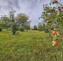 !! Landidylle pur !! - 520.000,00 EUR Kaufpreis, ca.  255,00 m² Wohnfläche in Mainhardt (PLZ: 74535) Schönhardt