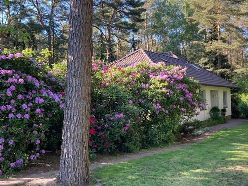 Eingangsseite - 6 Zimmer Einfamilienhaus in Bendestorf