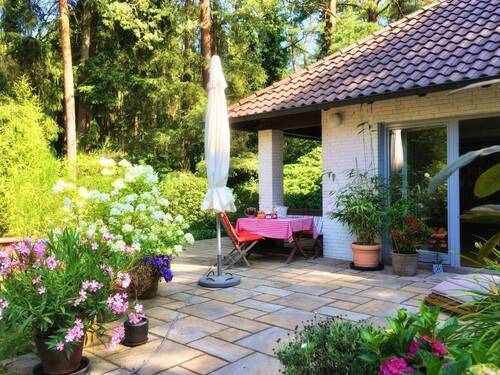 Terrasse - Einfamilienhaus mit 168,00 m&sup2; in Bendestorf zum Kaufen