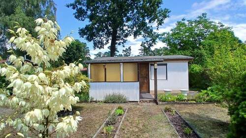 Bungalowansicht - 2 Zimmer Bungalow zum Kaufen in Berkenbrück