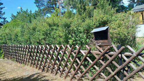 Bewachsenes Grundstück - 