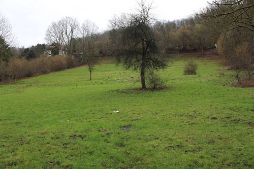 Bild 3 - Grundstück in Schmalkalden