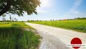 Die Lage! - 