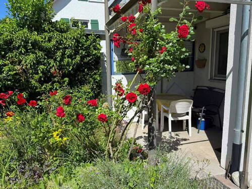 Bild3 - 3 Zimmer Etagenwohnung in Wangen
