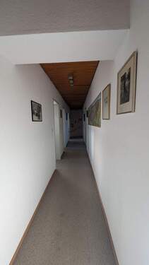 PXL_20241115_130835371.MP.jpg - 