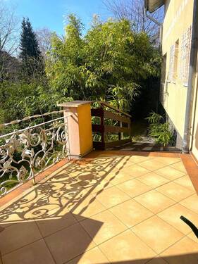 ... seitlicher Zugang zum Garten - 