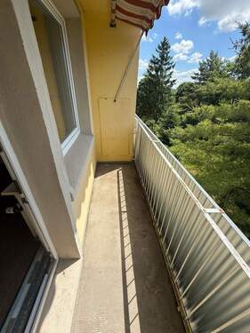 PHOTO-2025-06-20-11-43-23-201EC8E4-214A-4B08-AAE6- - 