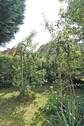 Gartenecke mit Obstbäumen - 