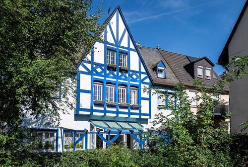 Hausansicht - 1 Zimmer Mehrfamilienhaus, Wohnhaus zum Kaufen in Rüdesheim am Rhein