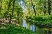 Bürgerpark Pankow - 