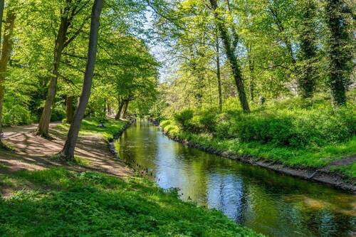 Bürgerpark Pankow - 