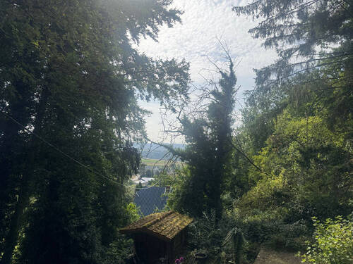 Ausblick - 