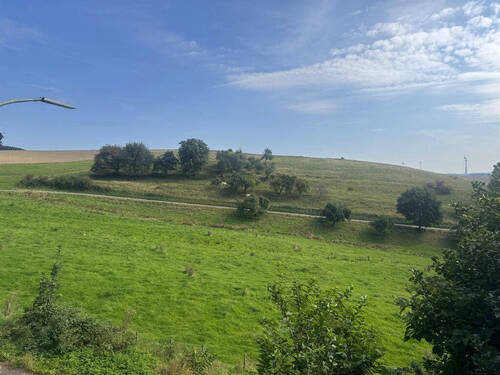 Ausblick - 