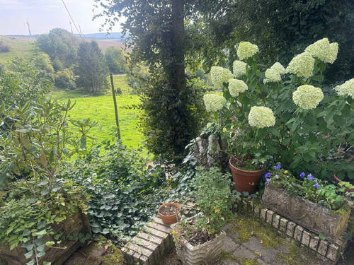 Garten - 8 Zimmer Einfamilienhaus zum Kaufen in Morbach-Merscheid-Merscheid