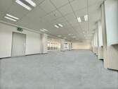 Einzeletage 300+ m² - 