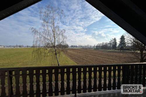 Blick vom Balkon 1 - 