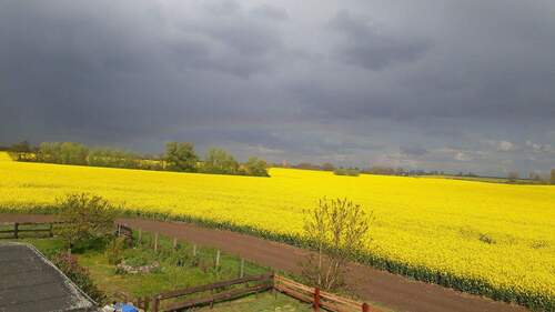 Blick auf das Feld - 