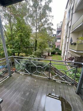 IMG_9883.jpeg - 