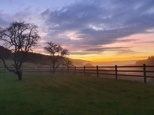 Garten - Exklusives Reiteranwesen mit Alpenpanorama – Pferdeparadies mit Perspektive V13084