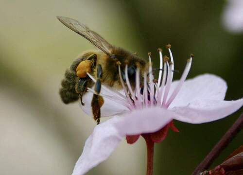 Quelle der Liebe u. des Lebens - Terrassentraum! Wunderschöne, lichtdurchflutete Wohnung mit großzügiger Terrasse und Einzelgarage!
