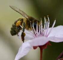 Terrassentraum! Wunderschöne, lichtdurchflutete Wohnung mit großzügiger Terrasse und Einzelgarage! - Bad Reichenhall