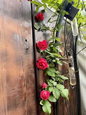 Frühlingserwachen - 2 Zimmer Terrassenwohnung in Bad Reichenhall