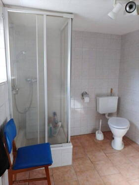 Gäste WC mit Dusche unten - 
