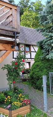 Hausansicht - 6 Zimmer Einfamilienhaus zum Kaufen in Großschirma