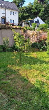 Blick in den Garten - 