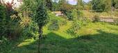 Blick in den Garten - 